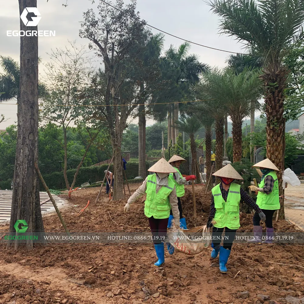 Trước khi trồng cỏ và hoa, EGOGREEN "làm đất" thêm 1 lần nữa. Đặc biệt, cung cấp thêm dưỡng chất cho đất nếu đất khô cằn.